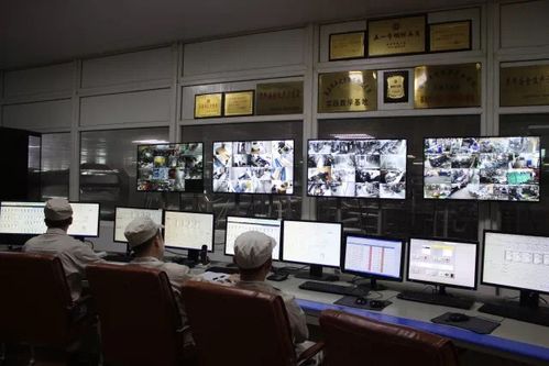 專注乳品九十載，衛崗乳業以優質裝卸服務踐行健康中國夢